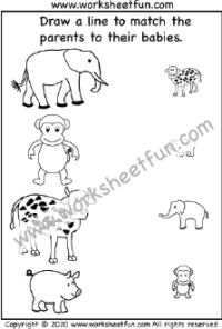 Mother and Baby Animals